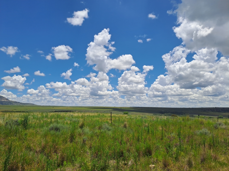 Commercial Property for Sale in Rosendal Free State
